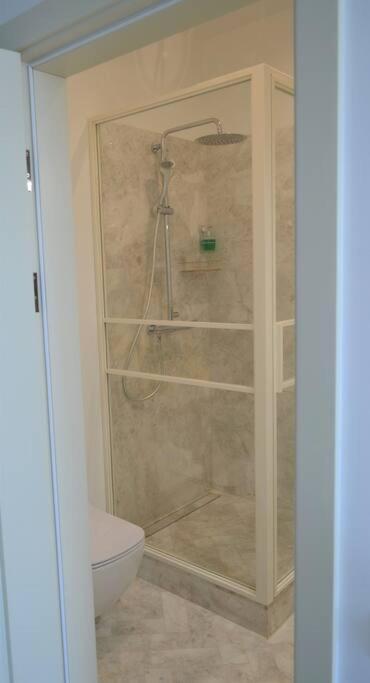 Luxury Apartment With A Balcony And View In Riga Old Town Eksteriør billede